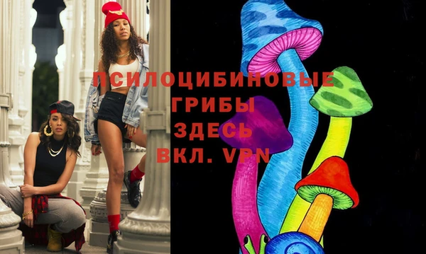 прущие грибы Алексин