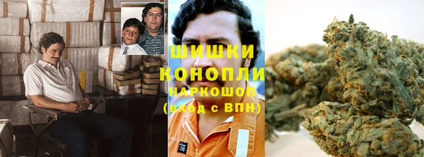 прущие грибы Алексин