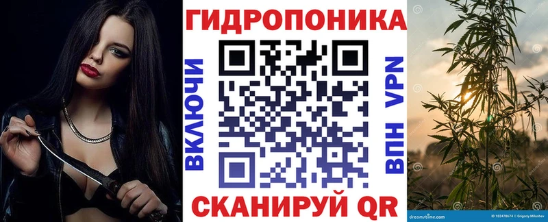Шишки марихуана индика Ртищево